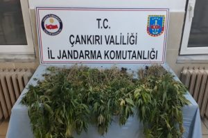 Jandarma uyuşturucu tacirlerin nefes aldırmadı