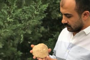47 milyon yıllık deniz canlısı fosili bulundu