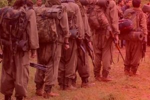 PKK karıştı! 'Sıkıysa kendileri gelip eylem koysun'