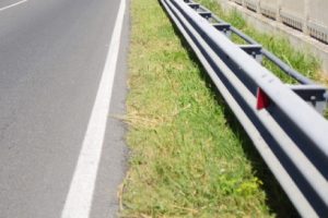 Yol kenarında insana ait kemikler bulundu