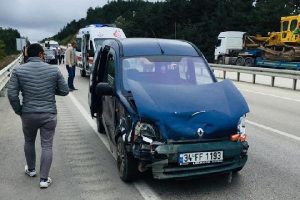 Aracın &ccedil;arptığı bozayı telef oldu