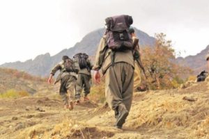 Mevzii, sığınak ve barınaklar imha edildi