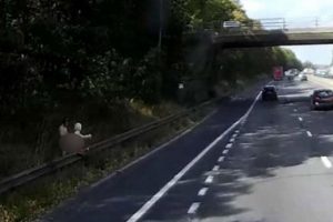 Otoban kenarında şişme kadınla ilişkiye girdi