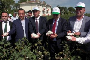 Yeni pamuk t&uuml;rlerinin tanıtımı dualarla yapıldı