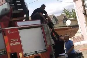 Bursa'da ağa&ccedil;ta mahsur kalan 'Jaguar' b&ouml;yle kurtarıldı
