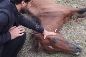 &Ouml;l&uuml;me terk edilen ata Milletvekili Canbey ve Haluk Levent sahip &ccedil;ıktı