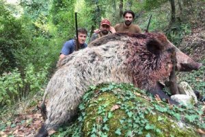 Bursa'da 350 kiloluk domuzu vurup, fotoğraf &ccedil;ektirdiler