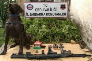 Jandarma uyuşturucuya ge&ccedil;it vermedi!