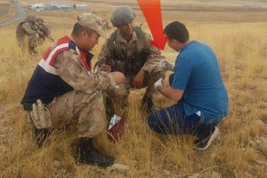 Operasyona giden askerler Arap Tavşanı buldu