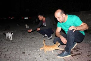 Kedileri &ccedil;uvala koymaya &ccedil;alışırken g&ouml;r&uuml;nt&uuml;lenen madenci: K&ouml;t&uuml; bir niyetim yoktu