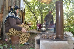 Bursa İneg&ouml;l'de kestane hasadı başladı