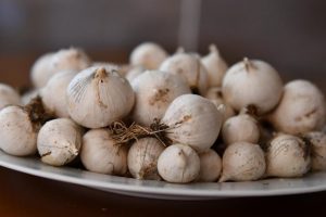 Tunceli dağ sarımsağı tescillendi