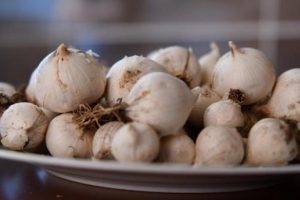 Endemik 'Tunceli Dağ Sarımsağı' tescillendi