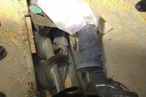 Mısır kurutma makinesinin i&ccedil;ine d&uuml;şt&uuml;!