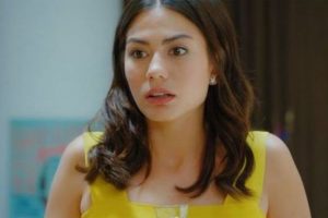 Demet &Ouml;zdemir o iddiaları yalanladı