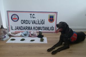 Jandarma uyuşturucuya ge&ccedil;it vermiyor!