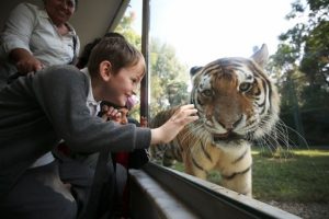 Bursa Hayvanat Bahçesinde  4 Ekim Dünya Hayvanları Koruma Günü etkinliği
