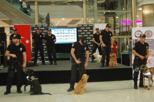 Dedekt&ouml;r k&ouml;pekler halkla buluştu