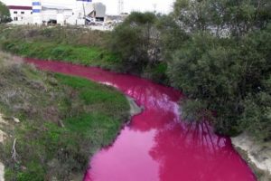 Ergene Nehri'ni kirleten işletmenin faaliyeti durduruldu