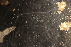 Bu fig&uuml;r 42 bin yıl &ouml;nce &ccedil;izildi!