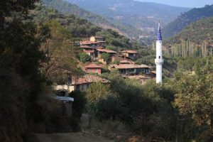 Mahalle sakinleri yayladayken evleri soyuldu