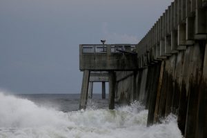 Michael Kasırgası Florida'yı tehdit ediyor
