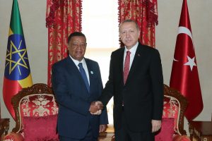Erdoğan Etiyopyalı mevkidaşıyla bir araya geldi