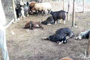 bursada bugun