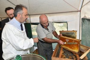 Bursa'da &uuml;reticiye bal eğitimi