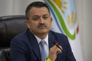 TMO mısır alımına başlayacak