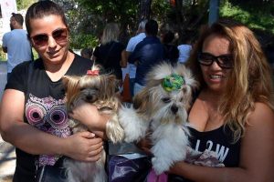 Muğla'da 'K&ouml;pek G&uuml;zellik ve Yetenek Yarışması'