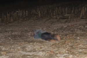 &Ccedil;iftlik sahibi ve &ccedil;alışanı, tabancayla &ouml;ld&uuml;r&uuml;lm&uuml;ş halde bulundu
