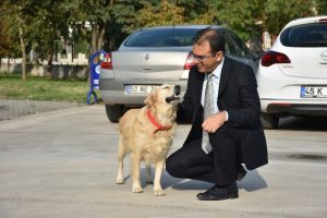 Sokakta yaralı bulundu şimdi okulun maskotu oldu