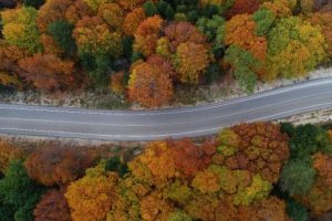Bursa Uludağ sonbahar ile renklendi