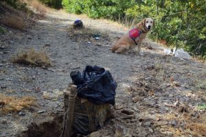340 kilo patlayıcı ele ge&ccedil;irildi