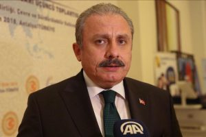 Şentop: 'D&uuml;nya siyasetin yeniden kurgulandığı bir d&ouml;nemden ge&ccedil;iyor'