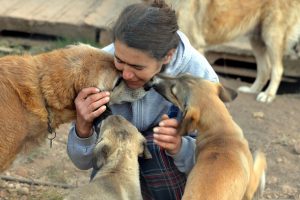 Emekli maaşını sokak k&ouml;pekleri i&ccedil;in harcıyor