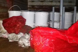 NATO limanı'nda 1 ton ele ge&ccedil;irildi!