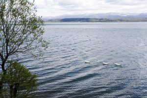 Sapanca G&ouml;l&uuml;'n&uuml;n seviyesi iyi durumda