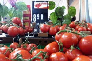 Domates tarlada 3, markette 8 lira