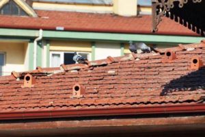 70 dolarlık kiremidi 35 liradan satıyorlar