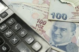 B&uuml;t&ccedil;eden en y&uuml;ksek pay Hazine ve Maliye Bakanlığının