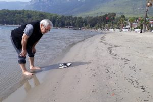 Binlerce bal arısı telef oldu