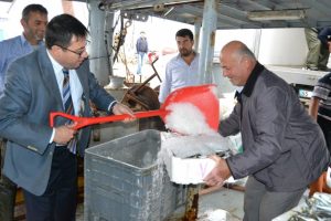 "Bu seneye kadar b&ouml;yle b&uuml;y&uuml;k palamut yakalamadık"