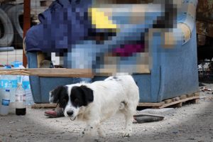 Evini 350 bin liraya sattı sokakta yaşamaya başladı! B&ouml;yle can verdi...