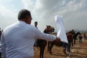 Suriye sınırında at yarışı