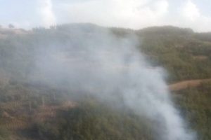 Adana'da orman yangını