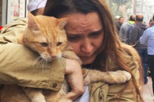 Kedisiyle birlikte kurtarıldı