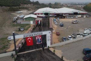 Güney Marmara'nın en büyük canlı hayvan pazarı Bursa'da açıldı