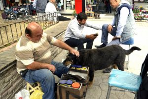Kazancını sahiplendiği k&ouml;peğiyle paylaşıyor